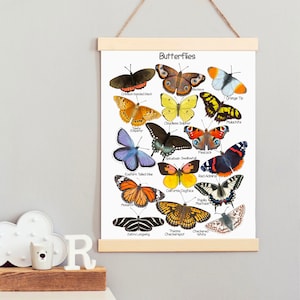 Puede incluir: Un gr&aacute;fico educativo colorido que presenta ilustraciones de diferentes tipos de mariposas con sus nombres. El gr&aacute;fico se titula "Mariposas" e incluye mariposas como la monarca, la cola de golondrina de arbusto de especias y el almirante rojo.