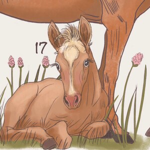 May include: A brown horse with a white stripe down its face stands over a brown foal lying in a field of green grass with pink flowers. The foal has a white stripe down its face and is looking at the camera. The number 17 is written in the top left corner of the image.