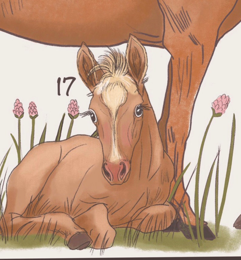 May include: A brown horse with a white stripe down its face stands over a brown foal lying in a field of green grass with pink flowers. The foal has a white stripe down its face and is looking at the camera. The number 17 is written in the top left corner of the image.