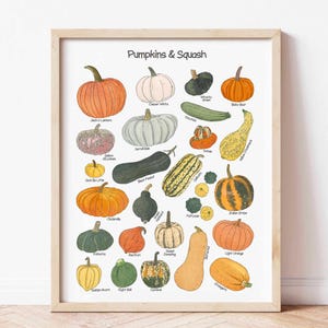 May include: A framed print labelled "Pumpkins & Squash" displaying illustrations of diverse pumpkin and squash types. The artwork presents a variety of colours and forms, including orange, green, white, and yellow gourds, with labels identifying each variety.