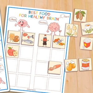 Human Brain Anatomy Bundle, Printable Homeschool Curriculum Preschool ...