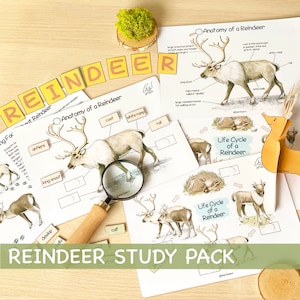 Reindeer Unit Study Homeschool Learning Materials Charlotte Mason Educational Materials Christmas Toddler Activities Preschool Printables