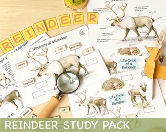 Reindeer Unit Study Homeschool Learning Materials Charlotte Mason Educational Materials Christmas Toddler Activities Preschool Printables