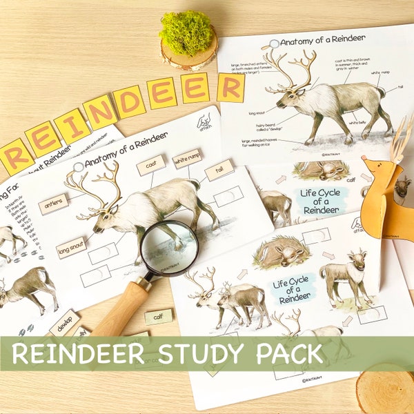 Reindeer Unit Study Homeschool Learning Materials Charlotte Mason Educational Materials Christmas Toddler Activities Preschool Printables