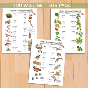 May include: Three printable nature scavenger hunt checklists with illustrations of items to find, such as moss, rock, bug, cone, stick, dandelion, spider web, ants, worm, feather, snail or slug, turkey tail, mushroom, linden, elderberry, oak, plane tree, rowan, hornbeam, maple, birch, ash, chestnut, elm, nest, grasshopper, clover, bee, bird, caterpillar, log, pine branch, butterfly, tree stump, animal tracks, and dragonfly.