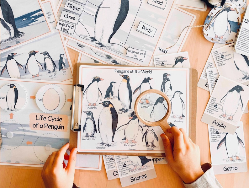 Pinguïns Eenheidsstudie Winter Homeschool-leermateriaal Charlotte Mason Studiebundel Voorschoolse werkbladen Kerst Peuteractiviteiten afbeelding 4