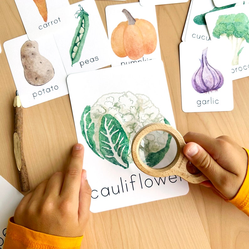 18 Watercolor Vegetables Flash Cards for Kids Vegetable Flashcards for ...