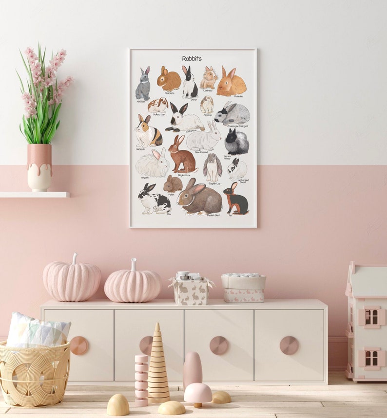 Rabbits Poster Educational Homeschool Decor Bunnies Breeds Watercolor ...