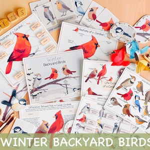 Winter Backyard Birds Unit Study Charlotte Mason Homeschool Learning Materials Winter Printable Activity Preschool Curriculum Red Bird Study