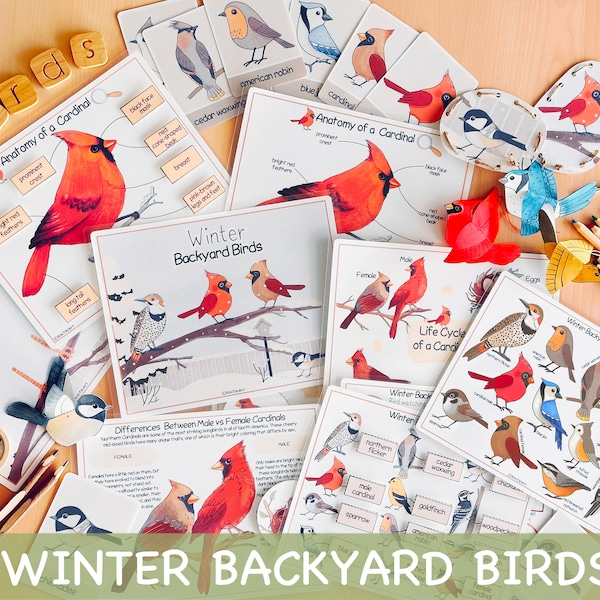 Winter Backyard Birds Unit Study Charlotte Mason Homeschool Learning Materials Winter Printable Activity Preschool Curriculum Red Bird Study