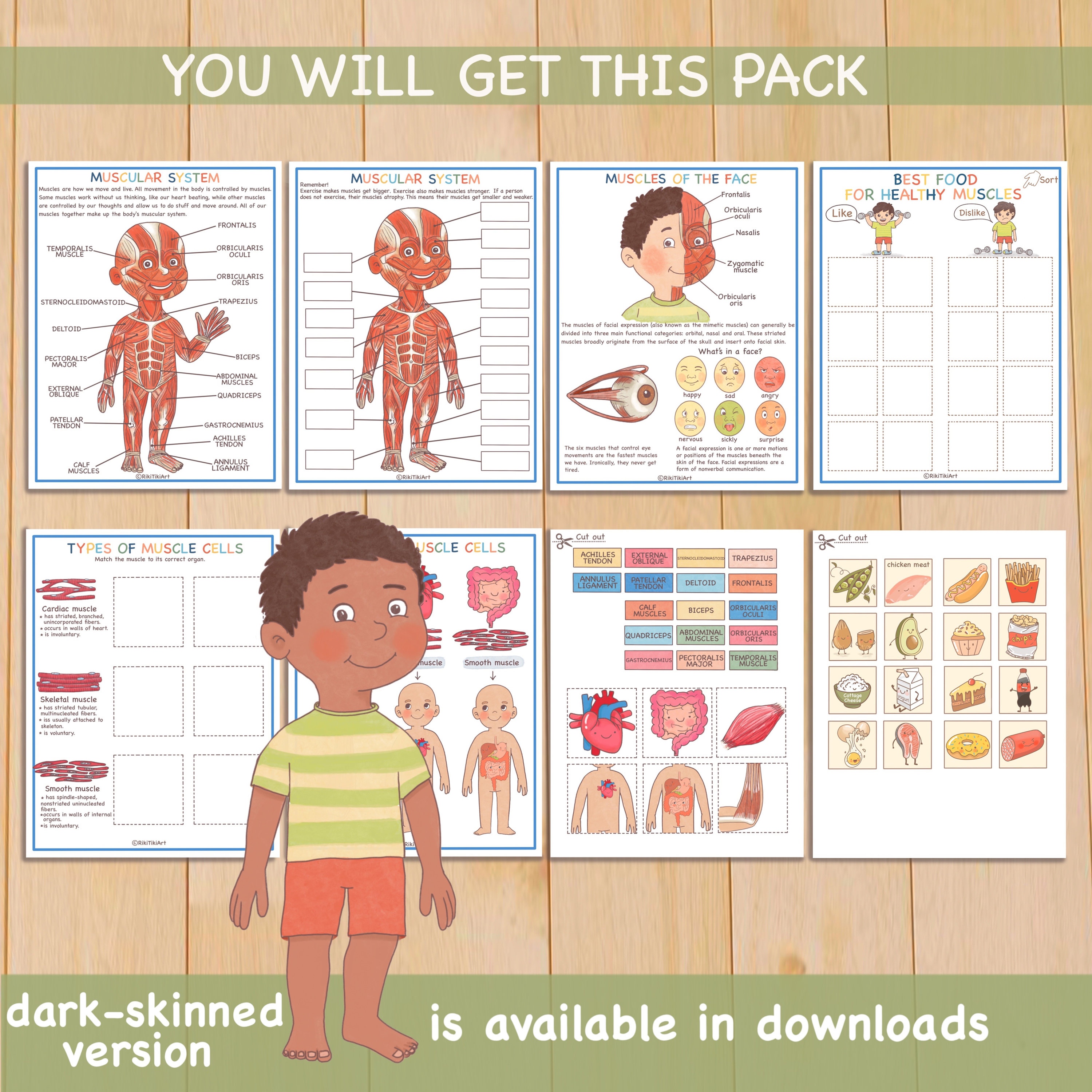 Muscular System Learning Bundle Human Anatomy Activity About Me Toddler ...