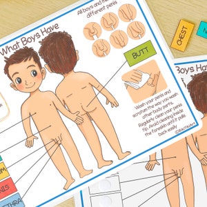 Male Reproductive System Learning Bundle Human Anatomy Busy Bundle About Me Preschool Printable Toddler Activities Homeschool Resources image 7