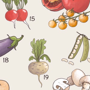 May include: A collection of fresh vegetables and mushrooms, including radishes, eggplant, a turnip, peas in pods, tomatoes, and mushrooms. The numbers 15, 18, and 19 are written on the image.
