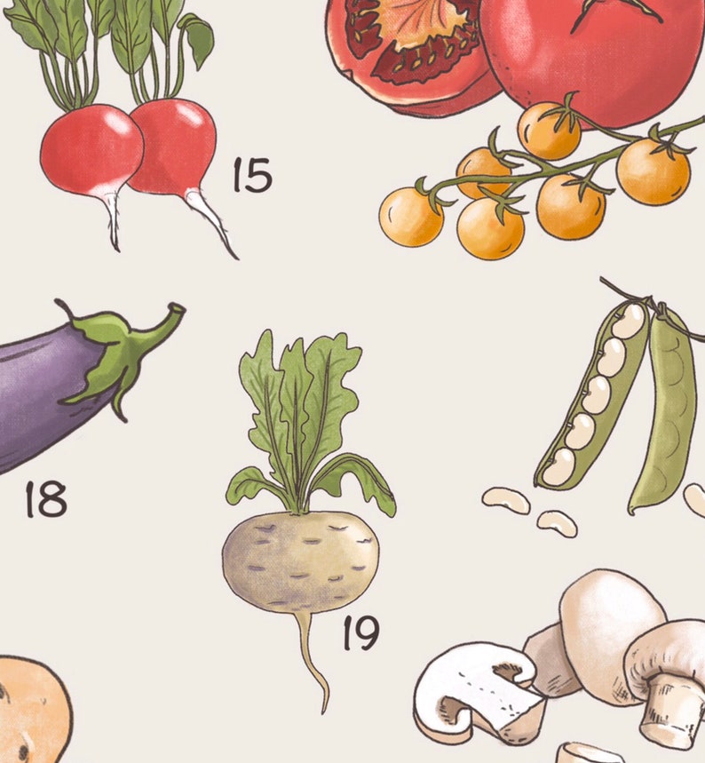May include: A collection of fresh vegetables and mushrooms, including radishes, eggplant, a turnip, peas in pods, tomatoes, and mushrooms. The numbers 15, 18, and 19 are written on the image.