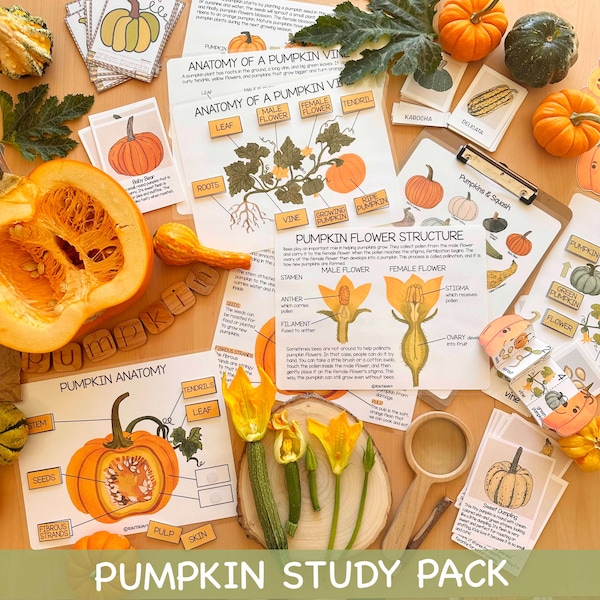 Pumpkin Unit Study Homeschool Preschool Charlotte Mason Fall Learning Printables, Halloween Autumn Pumpkin Study