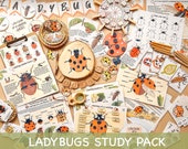 Ladybug Unit Study Homeschool Spring Printables Charlotte Mason Preschool Nature Study Anatomy of a Ladybug Life Cycle Ladybird Study Pack