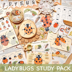 May include: A ladybug study pack featuring colourful educational resources, such as a life cycle chart, anatomy diagram, and activity cards. The pack also includes a wooden ladybug cutout, letter tiles, and a magnifying glass.