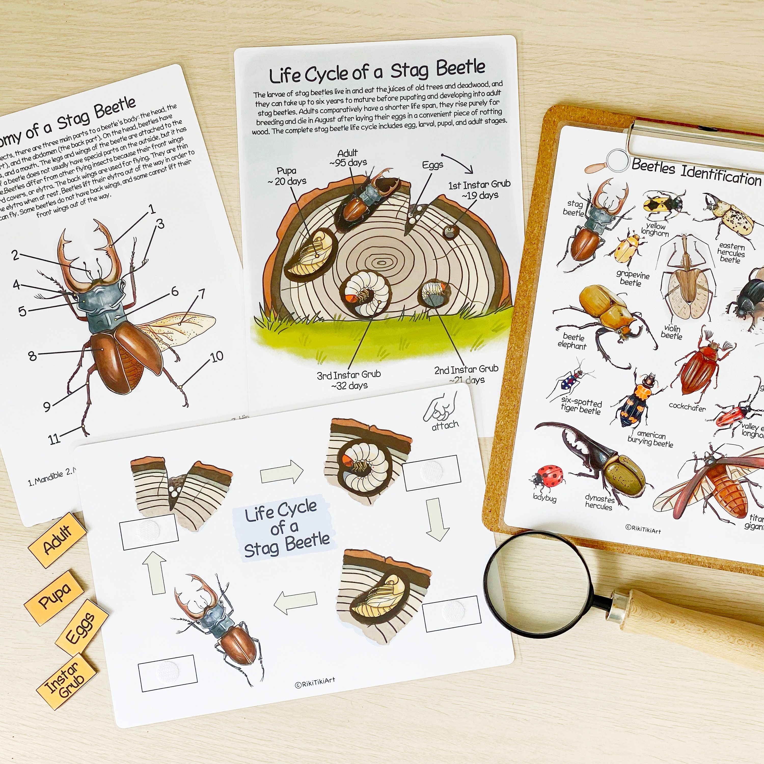 Printable Nature Journal Homeschool Learning Materials Etsy