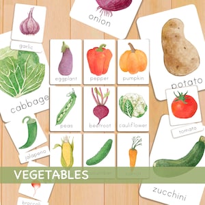 18 Watercolor Vegetables Flash Cards for Kids Vegetable Flashcards for Preschoolers Educational Nomenclature Cards Montessori Printable