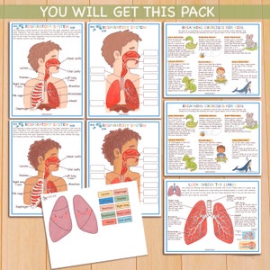 Respiratory System Bundle Human Anatomy Preschool Worksheets Toddler Activities Homeschool Educational Printables Human Body Learning image 2