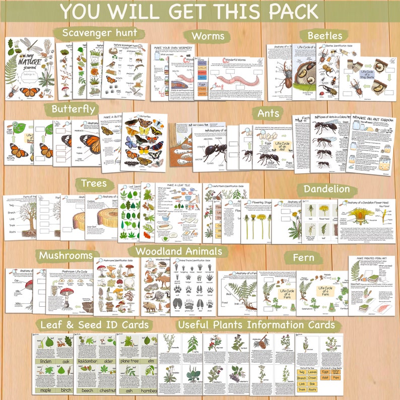 K&ouml;nnte beinhalten: Ein Satz druckbarer Naturstudien-Arbeitsbl&auml;tter f&uuml;r Kinder. Die Arbeitsbl&auml;tter zeigen Illustrationen von Schmetterlingen, B&auml;umen, Pilzen, W&uuml;rmern, K&auml;fern, Ameisen, L&ouml;wenzahnpflanzen, Waldtieren und Farnen. Die Arbeitsbl&auml;tter beinhalten Aktivit&auml;ten wie Schnitzeljagden, Lebenszyklusdiagramme und Pflanzenbestimmung.