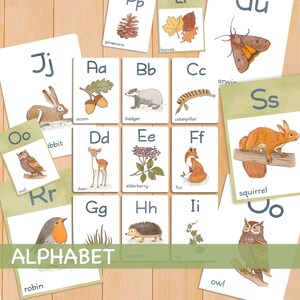 Woodland Alphabet Flashcards Printable Beginning Sounds Watercolor Cards Forest ABC Flash Cards Nature Study Montessori Toddler Flash Cards