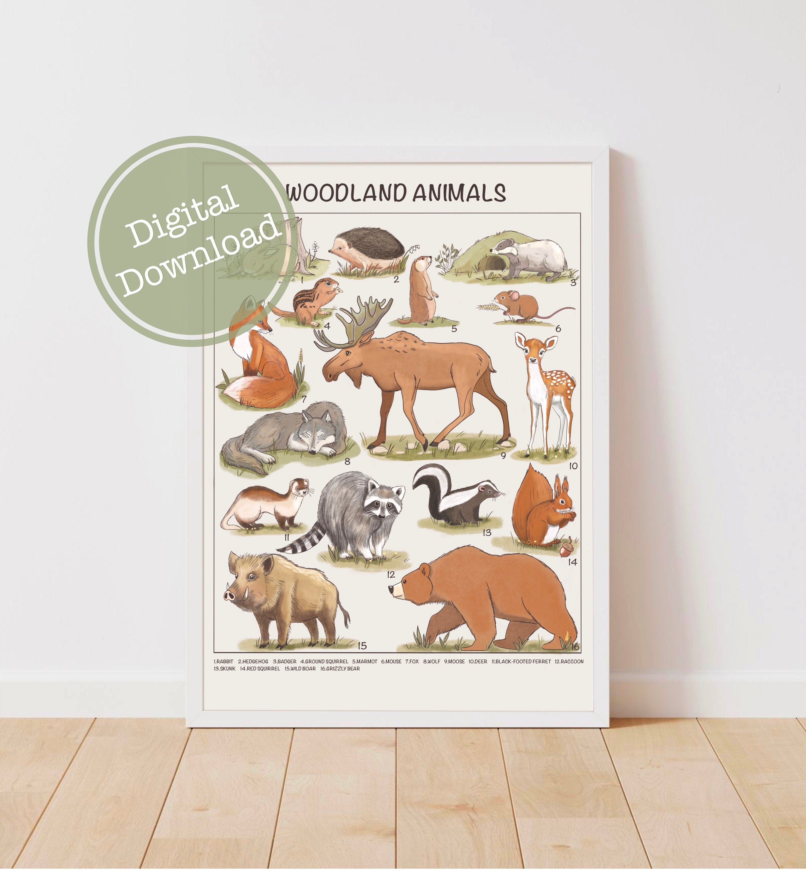 Forest Animals Print Downloadable Prints Printable - Etsy Australia Forest Animals Print Downloadable Prints Printable - Etsy Australia