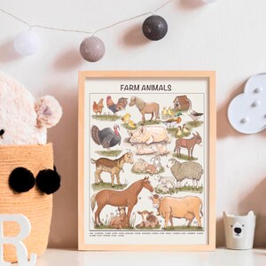 May include: A vintage-style educational poster featuring illustrations of farm animals, including a rooster, turkey, pig, goat, horse, cow, donkey, sheep, and ducklings. The poster is titled "Farm Animals" and includes the number of each animal.
