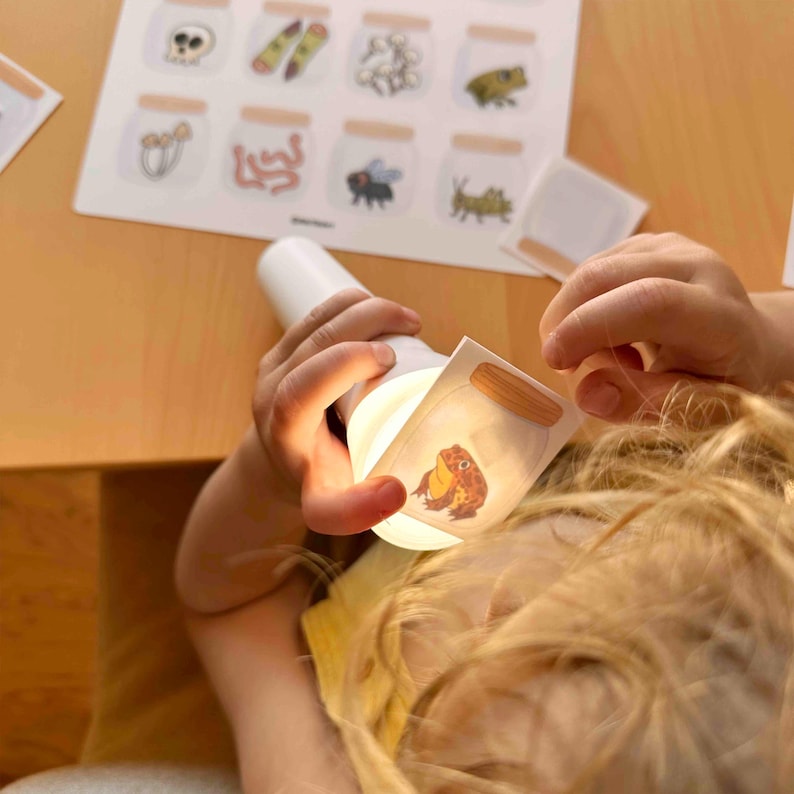 Puede incluir: Una linterna blanca que proyecta luz a trav&eacute;s de una peque&ntilde;a tarjeta rectangular transl&uacute;cida con una rana marr&oacute;n dentro de un frasco. Una hoja blanca m&aacute;s grande con una cuadr&iacute;cula de varias ilustraciones, incluyendo una calavera, insectos y hongos, es visible en el fondo.