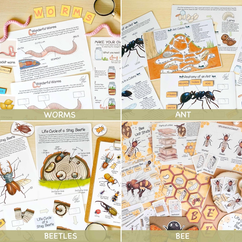 27 Unit Studies MEGA BUNDLE Homeschool Printable Charlotte Mason ...
