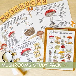 Ensemble d'étude de l'unité de champignons Charlotte Mason Matériel d'apprentissage pour l'école à la maison Matériel éducatif préscolaire Automne Automne Classeur occupé
