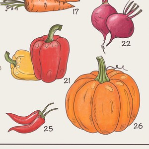 May include: Illustration of various vegetables and fruits, including a red and yellow bell pepper, a pumpkin, a beet, chili peppers, and carrots. The illustration is in a cartoon style with hand-drawn lines.
