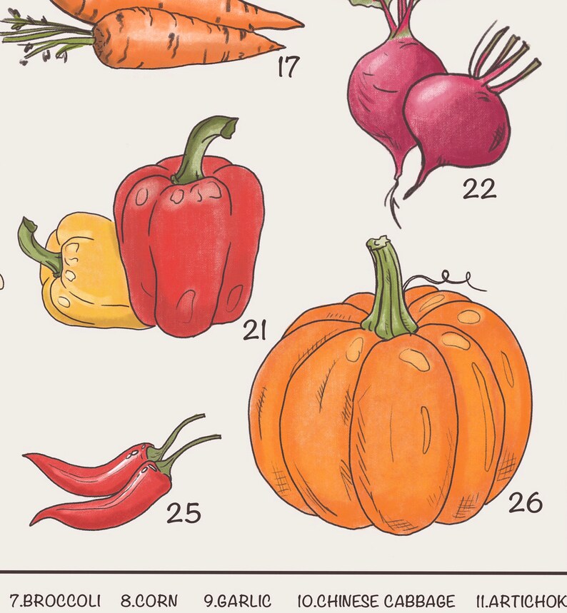 May include: Illustration of various vegetables and fruits, including a red and yellow bell pepper, a pumpkin, a beet, chili peppers, and carrots. The illustration is in a cartoon style with hand-drawn lines.