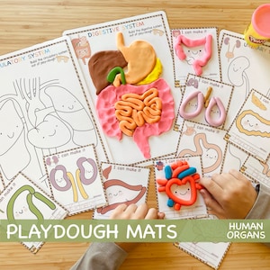 Menselijke organen spelen deegmatten Fijne motoriek Preschool Printables Body Play Doh Matten Montessori Peuteractiviteiten Anatomie Visuele kaarten