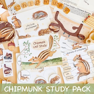 Puede incluir: Un paquete de estudio de ardilla listada imprimible con ilustraciones del ciclo de vida, la anatomía y el hábitat de la ardilla listada. El paquete incluye el texto "Chipmunk Unit Study" y "Chipmunk Study Pack".