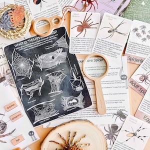 May include: A collection of educational spider-themed materials, including cards with spider illustrations and facts, a wooden magnifying glass, and a decorative spider. The items are arranged on a wooden surface.