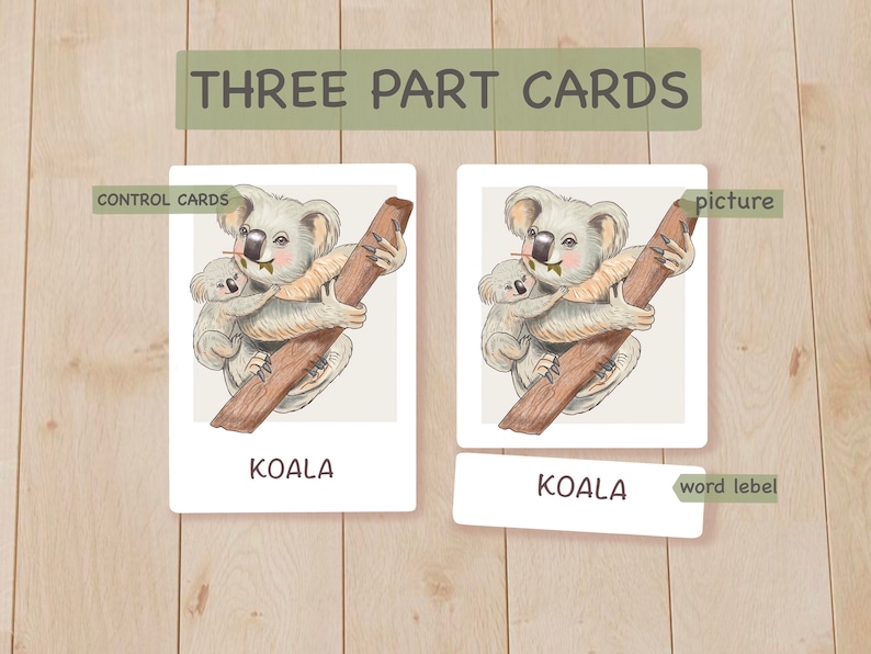 Toddler Flash Cards Australian Animals Flashcards Etsy Australia