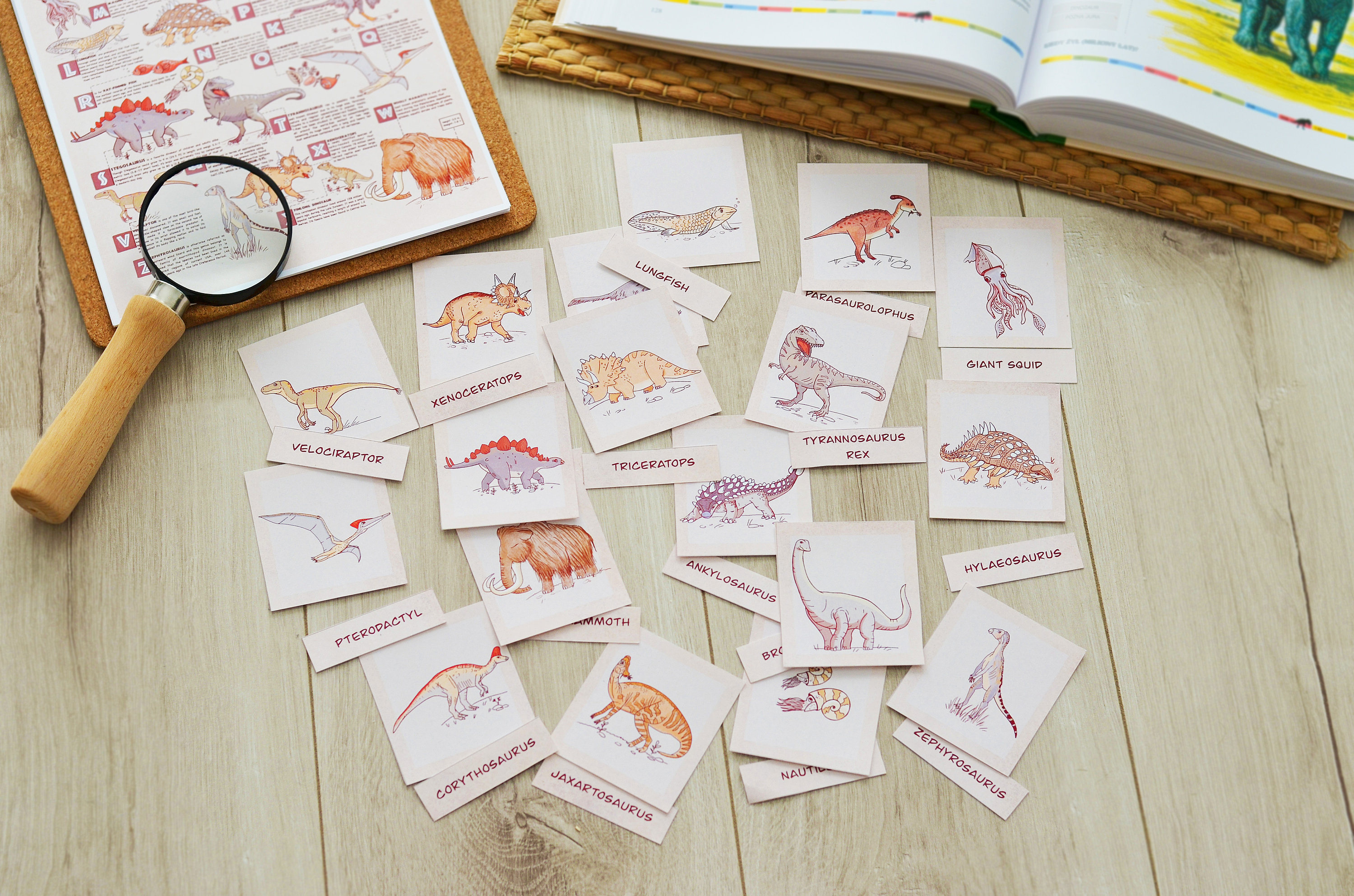 Dinosaur Flashcards, Printable Montessori Materials, Homeschool ...