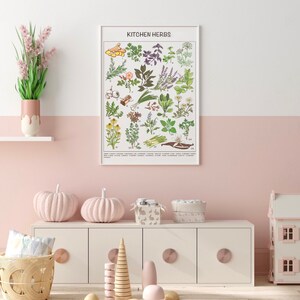 May include: A white poster with the title "Kitchen Herbs" and illustrations of various herbs and spices. The poster is hanging on a pink wall above a white dresser with two pink pumpkins on top.