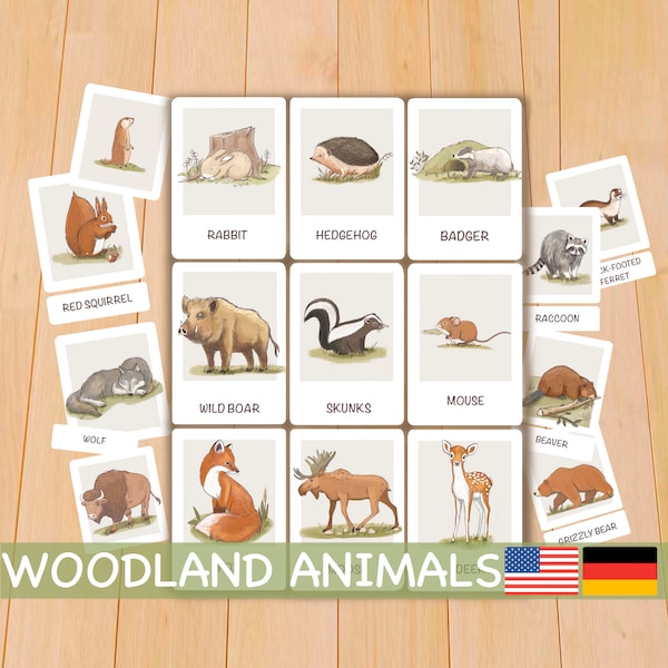 Woodland animals flash cards, Printable Montessori materials, Homeschool toddler flashcards English German