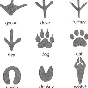 Animal Tracks Print Woodland Nursery Decor Rustic Outdoor Adventure Boy Room Decor Printable ...