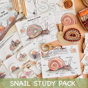 Snail Unit Study Charlotte Mason Spring Printable Worksheets Preschool Nature Study Snail Life Cycle Anatomy Homeschool Learning Binder