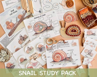 Snail Unit Study Charlotte Mason Spring Printable Worksheets Preschool Nature Study Snail Life Cycle Anatomy Homeschool Learning Binder