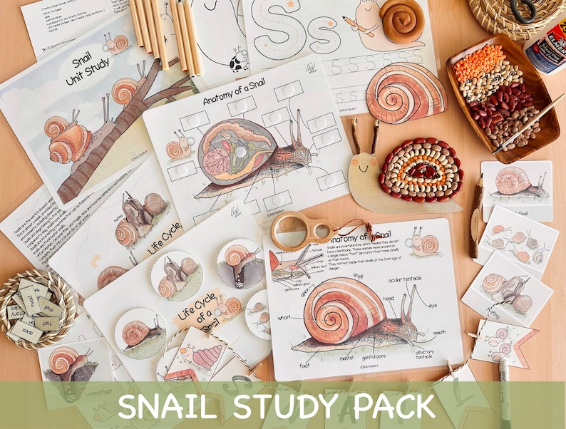 Snail Unit Study Charlotte Mason Spring Printable Worksheets Preschool Nature Study Snail Life Cycle Anatomy Homeschool Learning Binder image 1