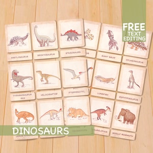 Flashcards de dinosaures, Matériel Montessori imprimable, Cartes-éclairs d'école à la maison d'âge préscolaire pour tout-petits