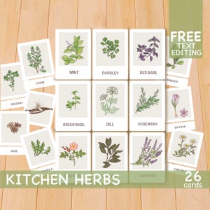 Herbs flashcards, Printable Montessori materials, Preschool toddler flash cards