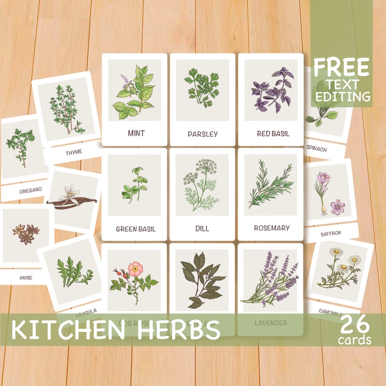 Herbs Flashcards Printable Montessori Materials Preschool - Etsy