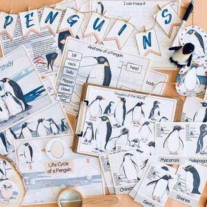 Pinguïns Eenheidsstudie Winter Homeschool-leermateriaal Charlotte Mason Studiebundel Voorschoolse werkbladen Kerst Peuteractiviteiten afbeelding 9