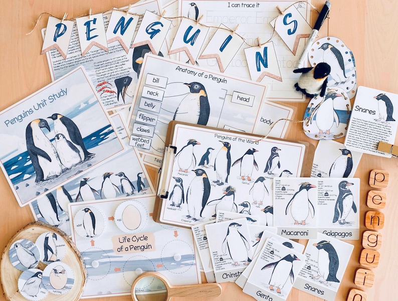 Pinguïns Eenheidsstudie Winter Homeschool-leermateriaal Charlotte Mason Studiebundel Voorschoolse werkbladen Kerst Peuteractiviteiten afbeelding 9