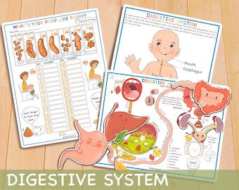 Ensemble d'anatomie du système digestif humain, programme d'études à la maison à propos de moi, activités préscolaires imprimables pour tout-petits